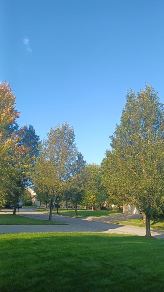 20241005_092020.jpg