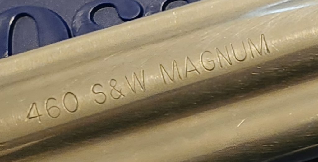 20241006_133155.jpg