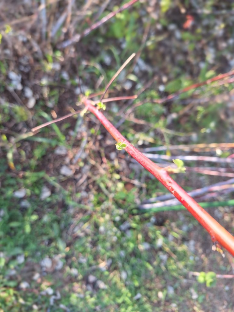 20241006_170036.jpg