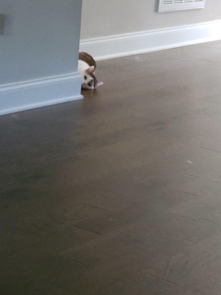 20241007_093555.jpg