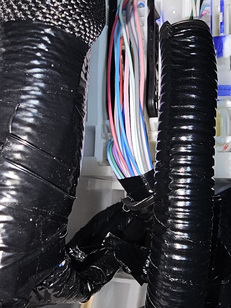 20241007_124501.jpg