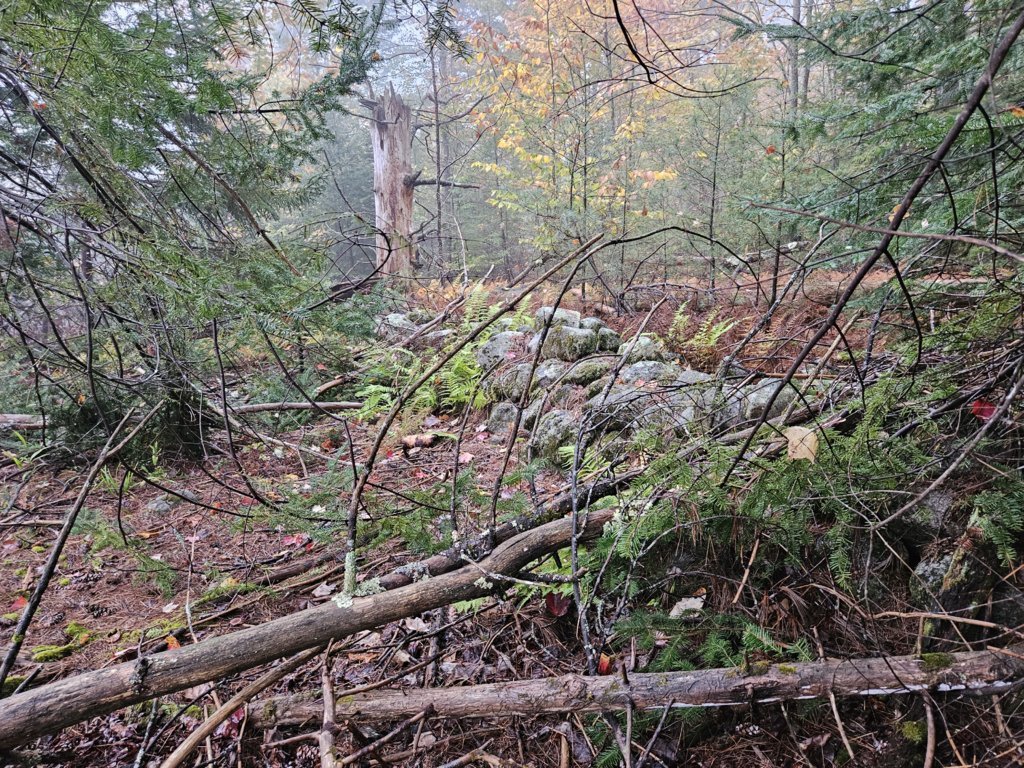 20241007_164029.jpg