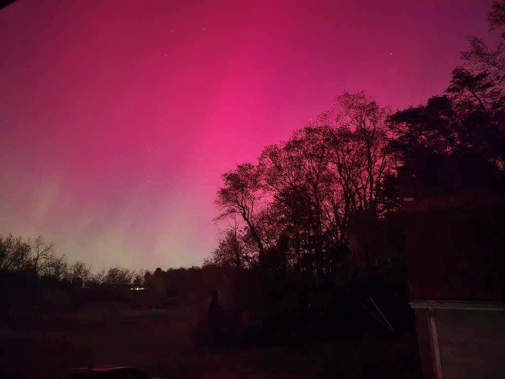 20241010_193637.jpg