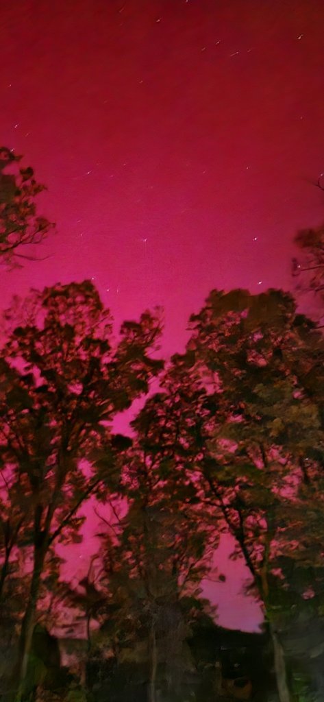 20241010_193934.jpg