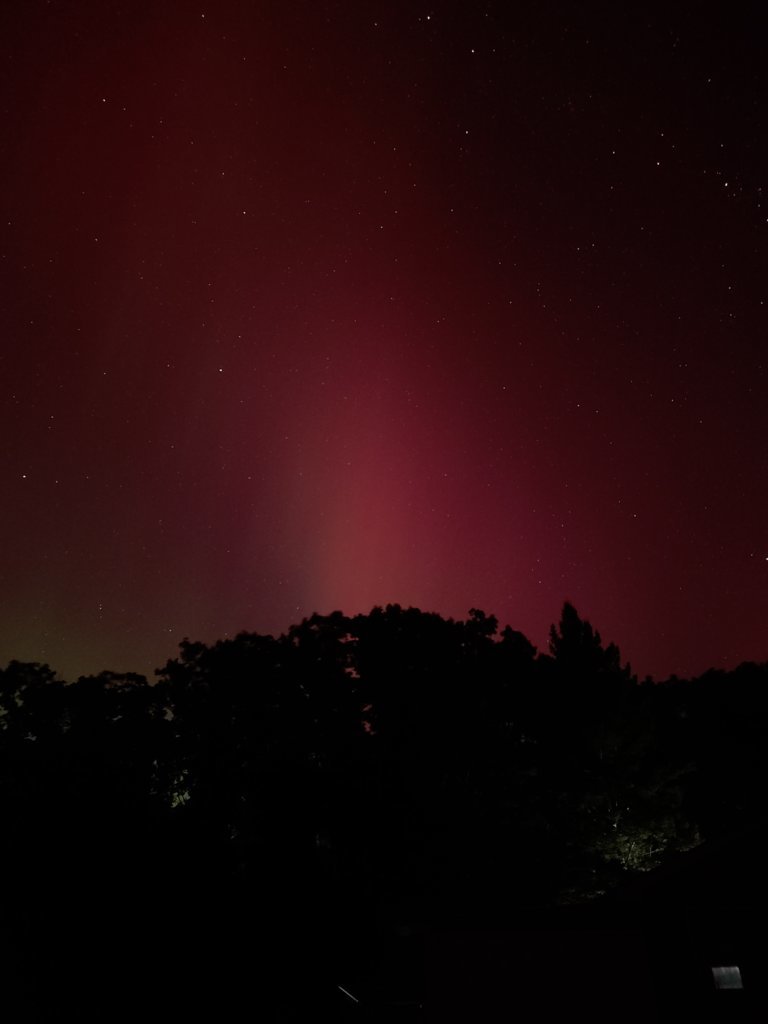20241010_225453.jpg