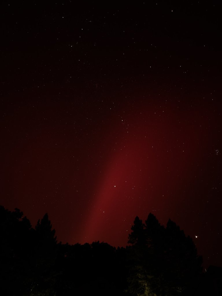 20241010_230031.jpg