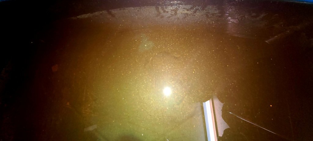 20241011_112548.jpg