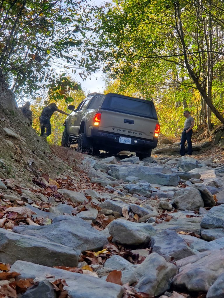20241012_100305.jpg
