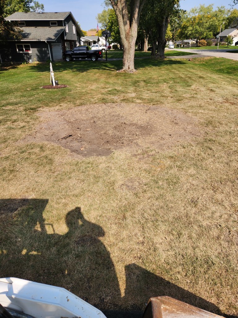 20241012_122254.jpg