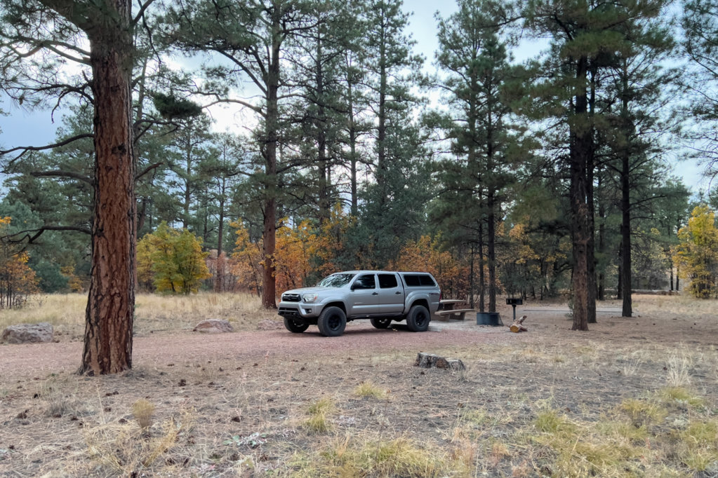20241014-tacoQuakingAspenCamp-01.jpg