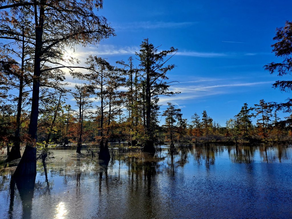 20241014_085501.jpg