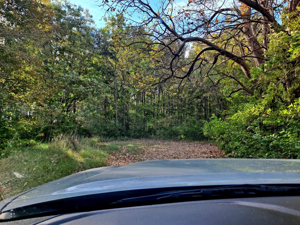 20241014_093040.jpg