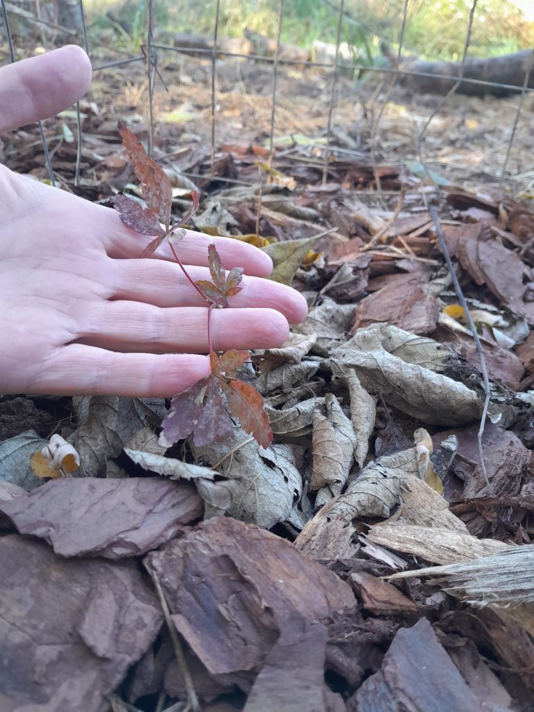 20241015_155720.jpg