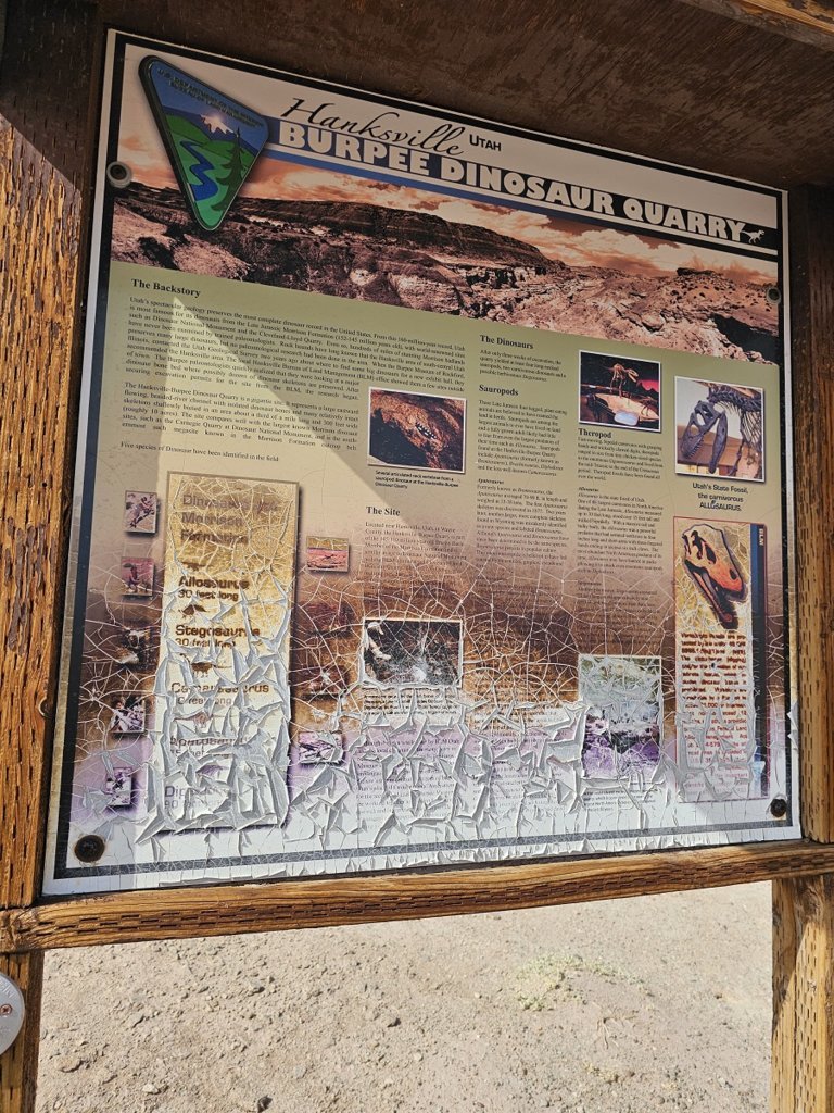 20241016_142225.jpg
