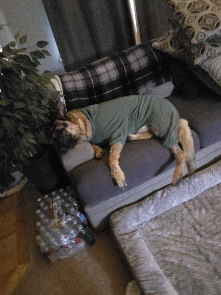20241016_153255.jpg