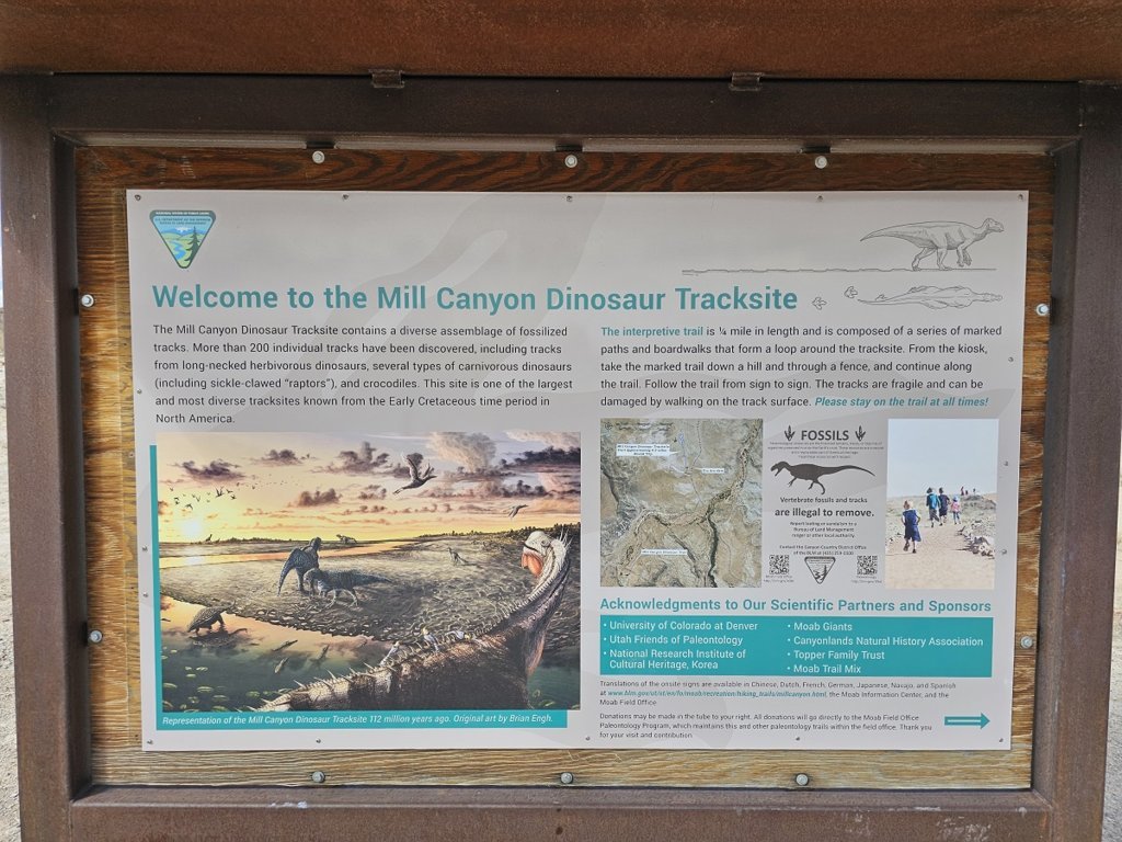 20241017_125344.jpg