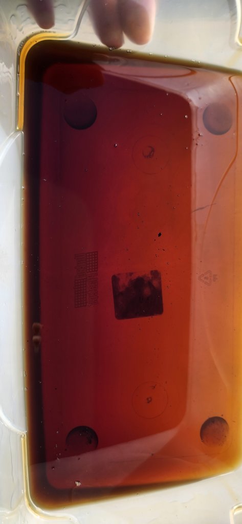 20241017_145501.jpg
