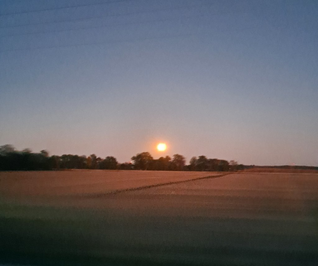 20241017_184711.jpg
