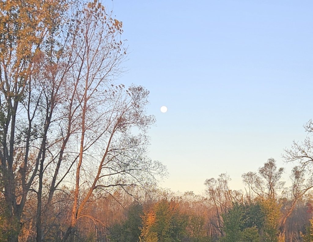 20241018_072721.jpg