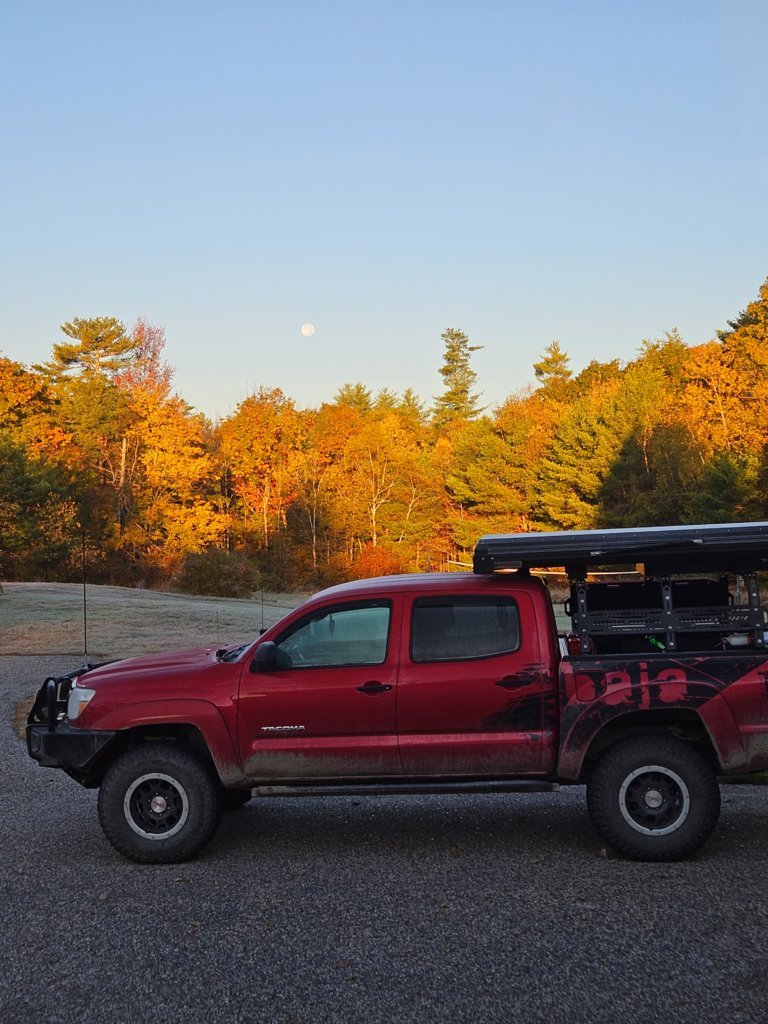 20241018_072914[1].jpg