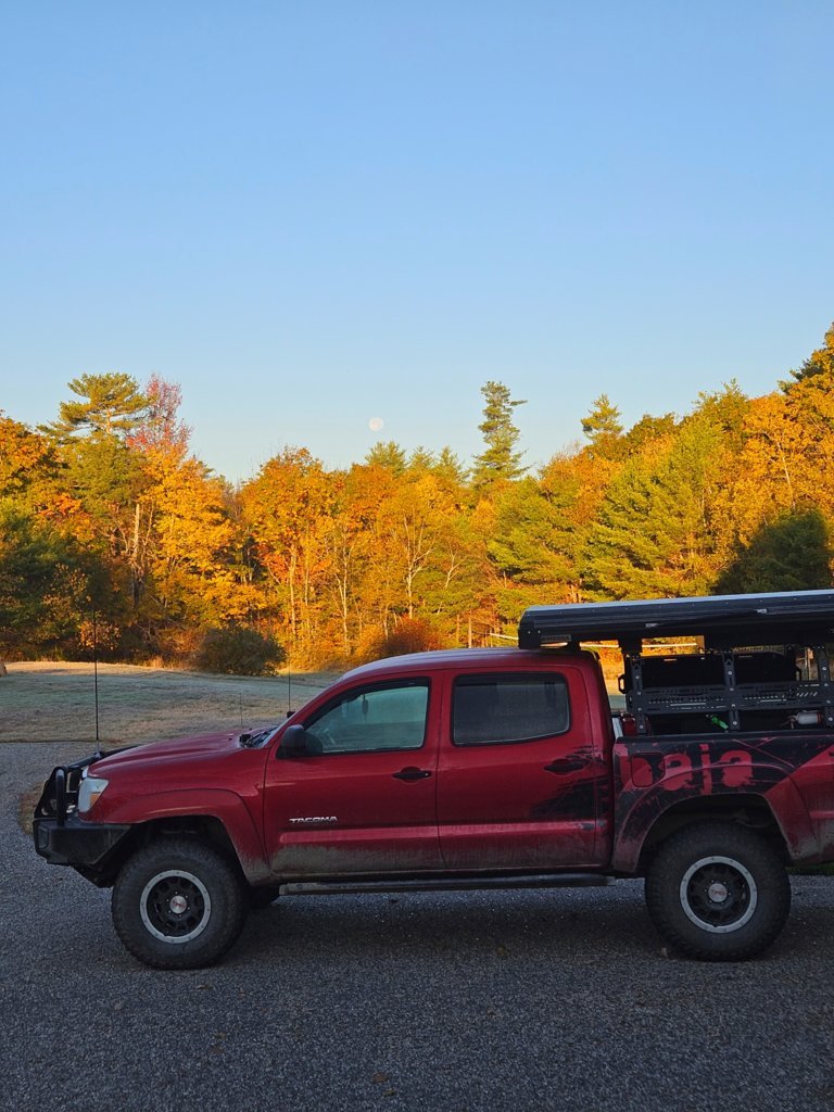 20241018_073847[1].jpg