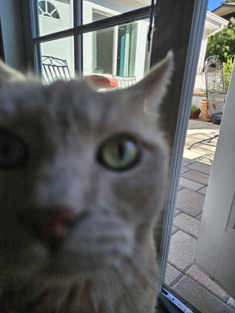 20241020_103819.jpg