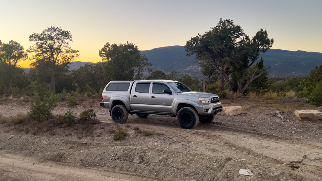 20241021-tacoCoyoteDispersed-01.jpg