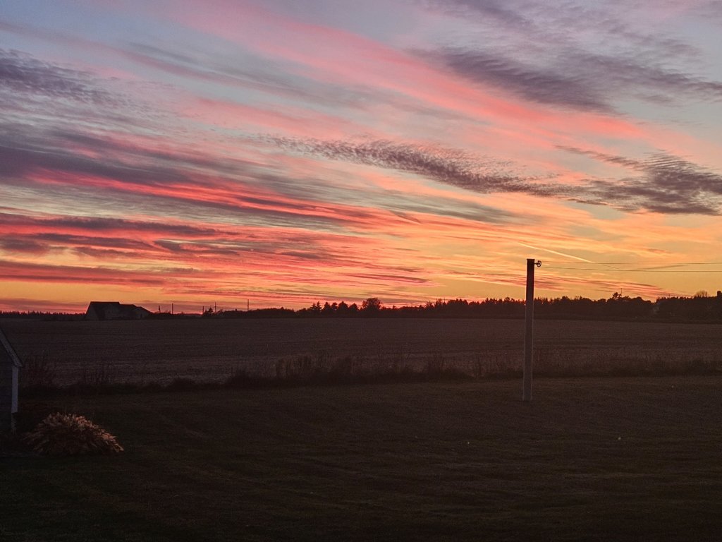 20241021_183447.jpg