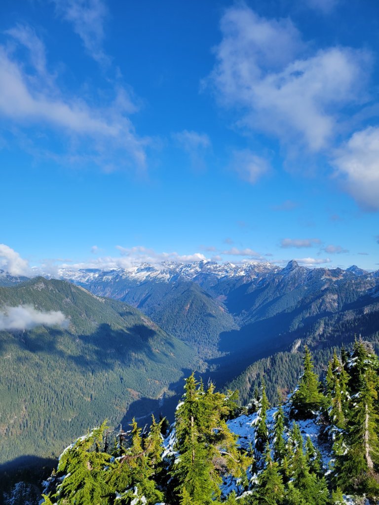 20241022_152530.jpg