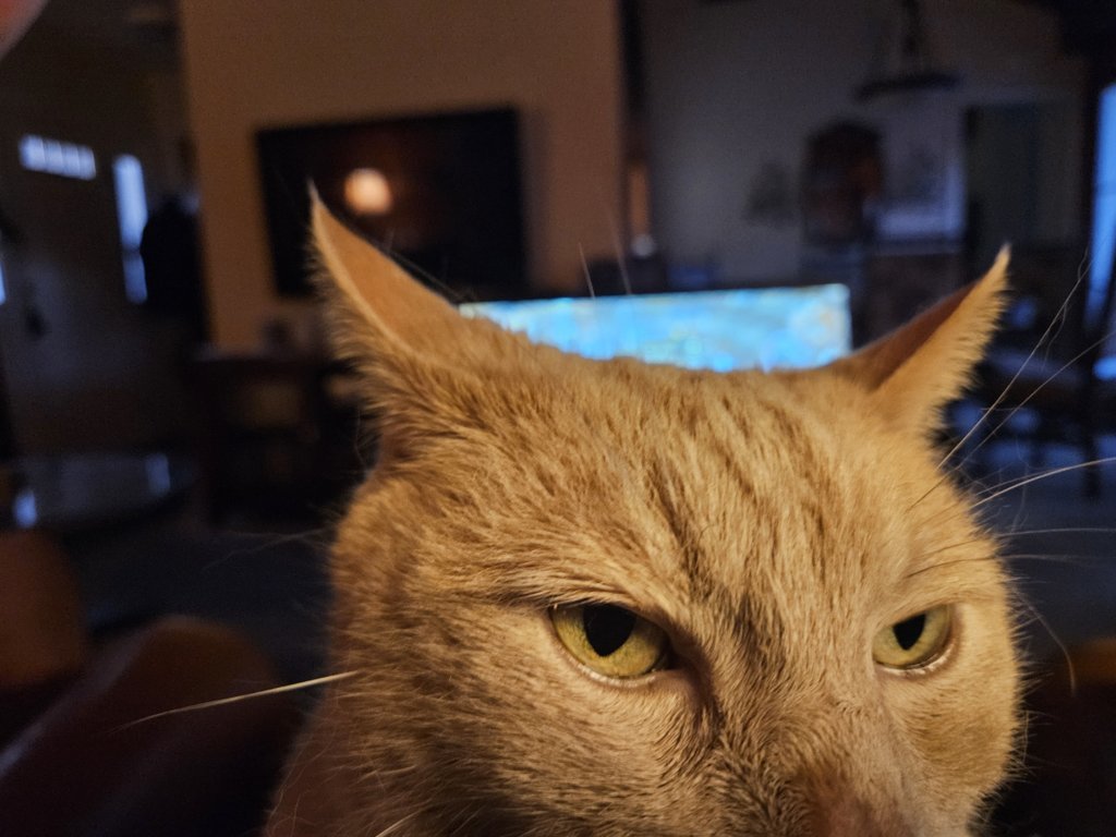 20241022_182048.jpg