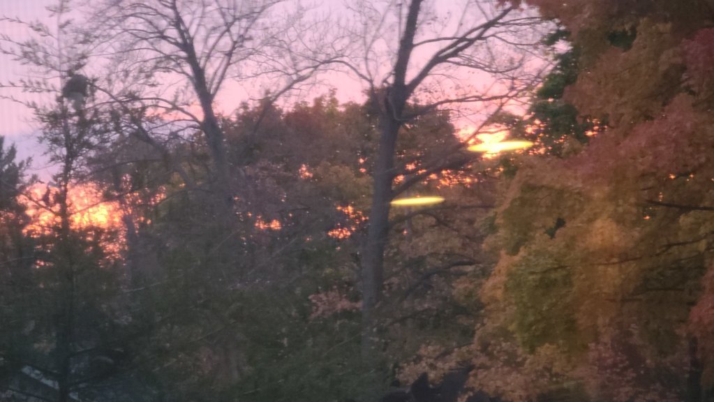 20241023_075353.jpg