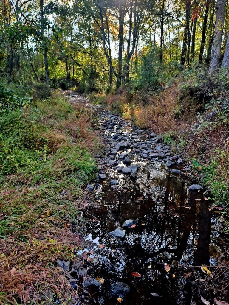 20241023_161339.jpg