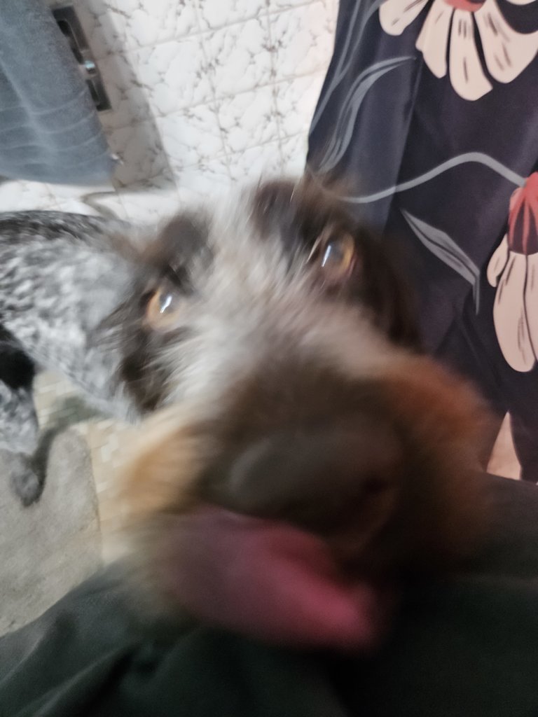 20241024_081155.jpg