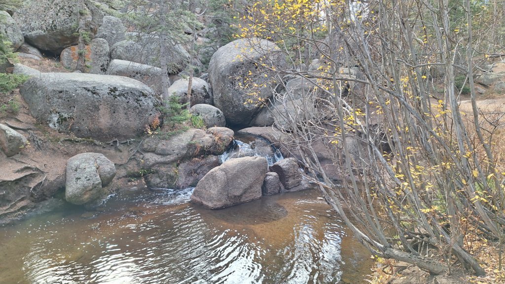 20241026_112913.jpg