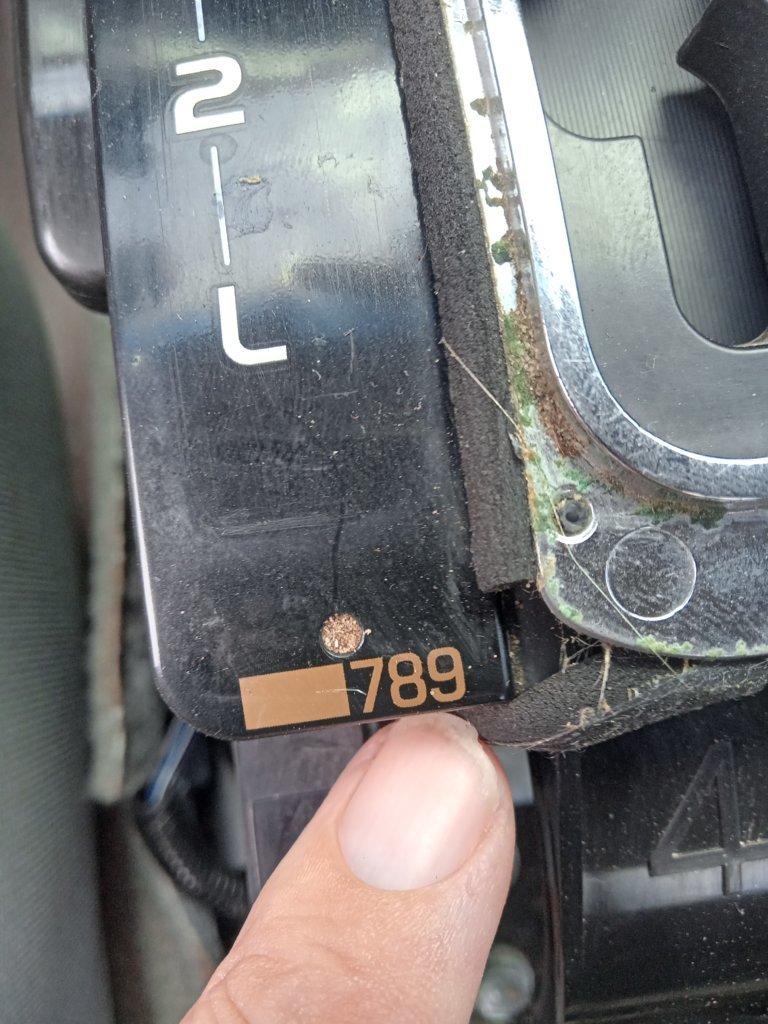 20241026_113758.jpg