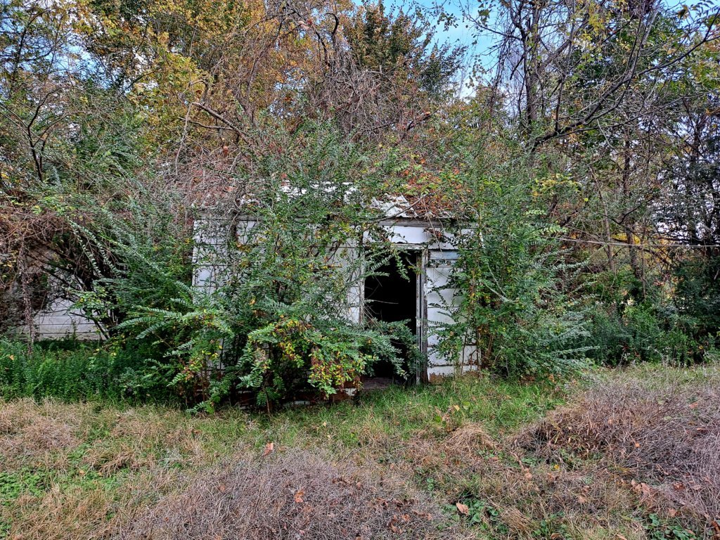 20241028_100847.jpg