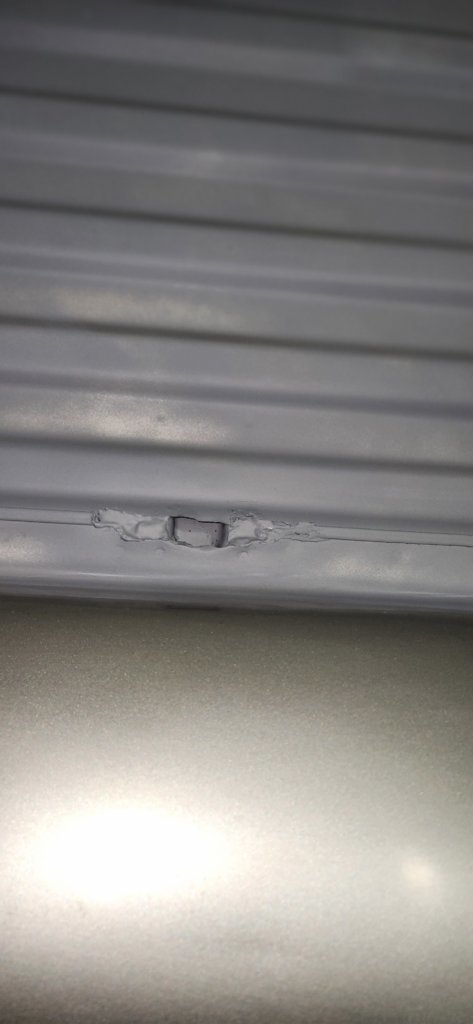 20241031_201047.jpg