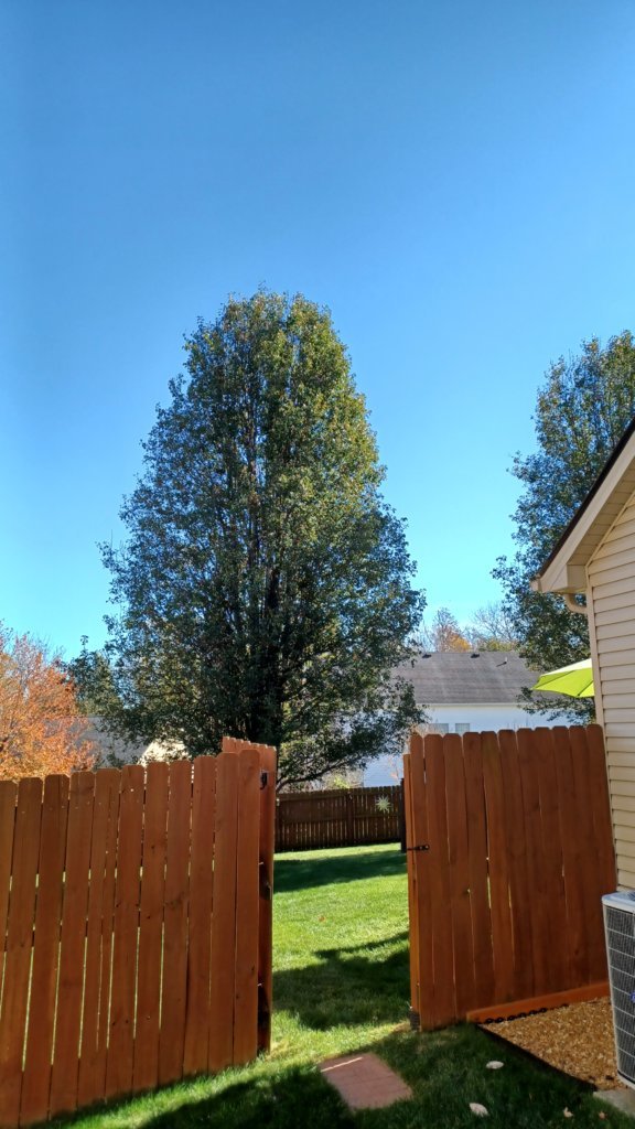 20241102_141728.jpg