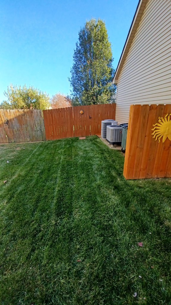 20241102_153125.jpg