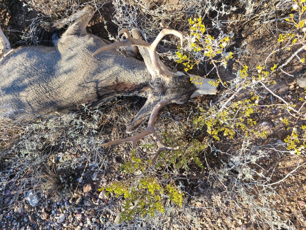 20241104_090322.jpg