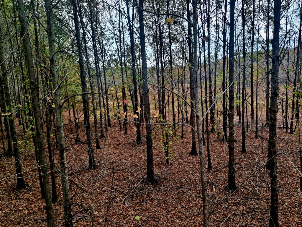20241104_141733.jpg