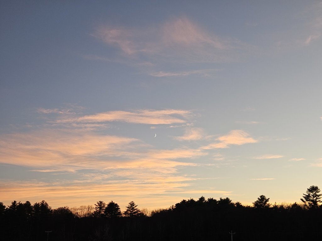 20241105_163655.jpg