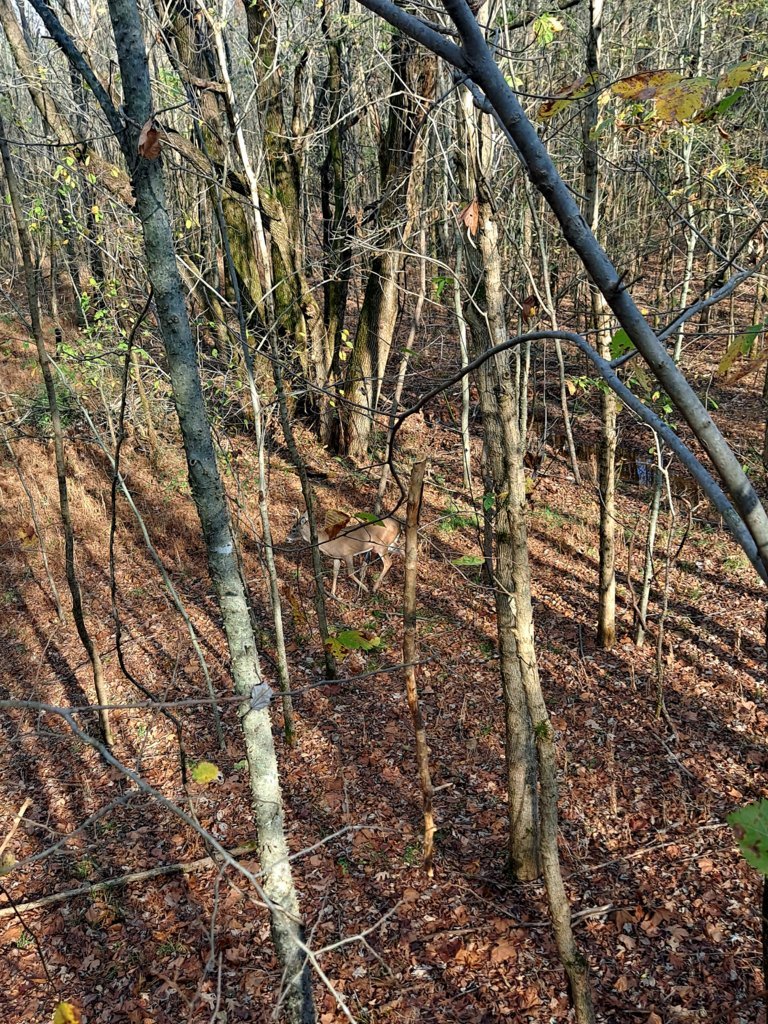 20241106_142853.jpg