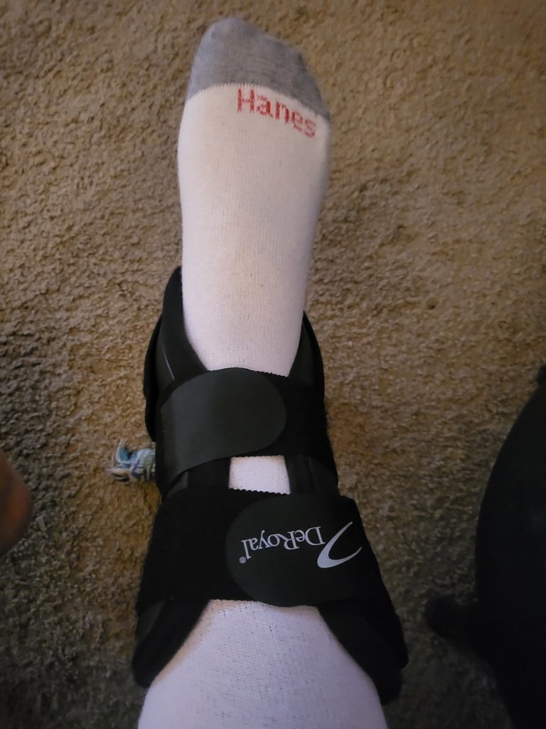 20241108_101523.jpg