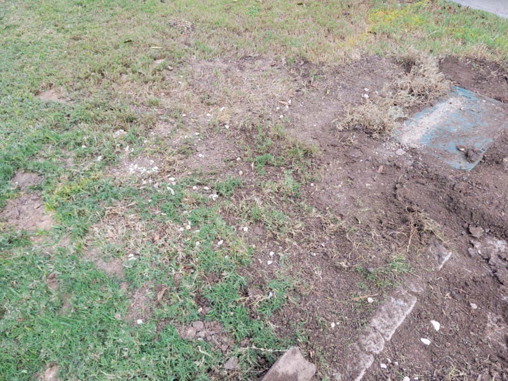 20241108_121505.jpg