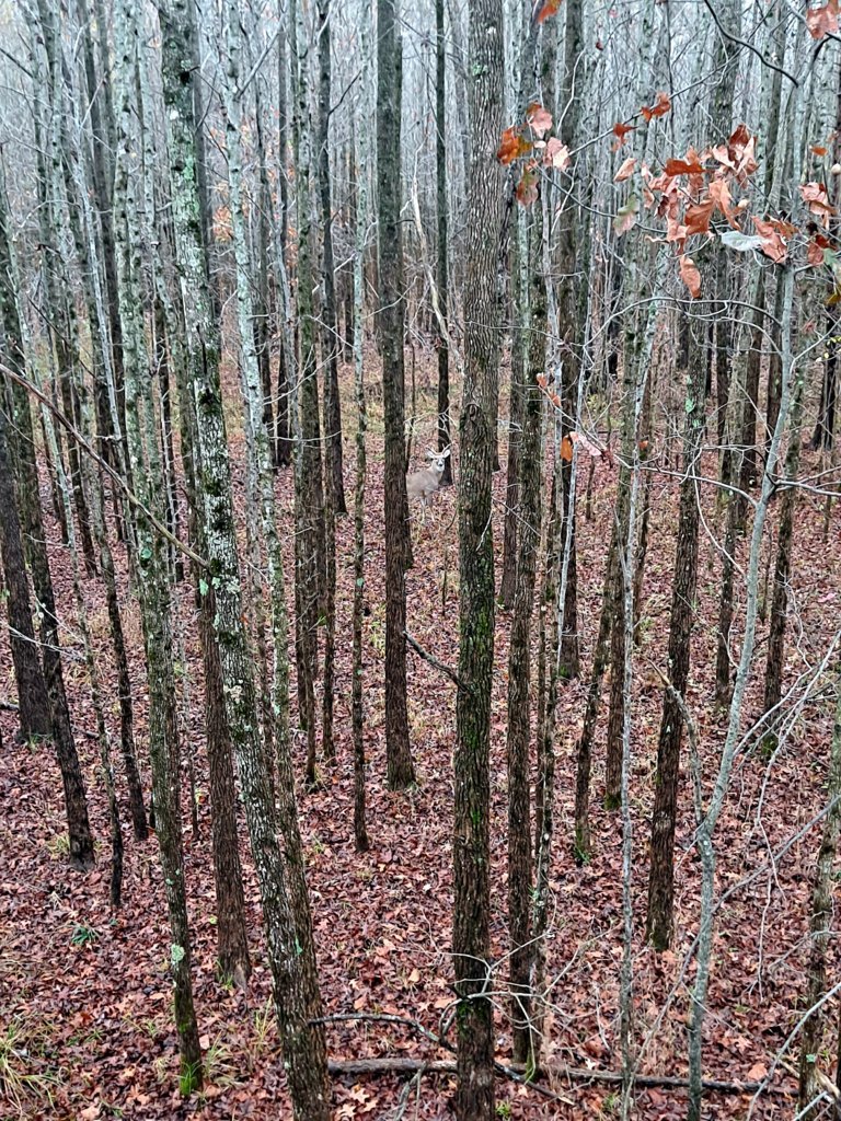 20241114_073542.jpg