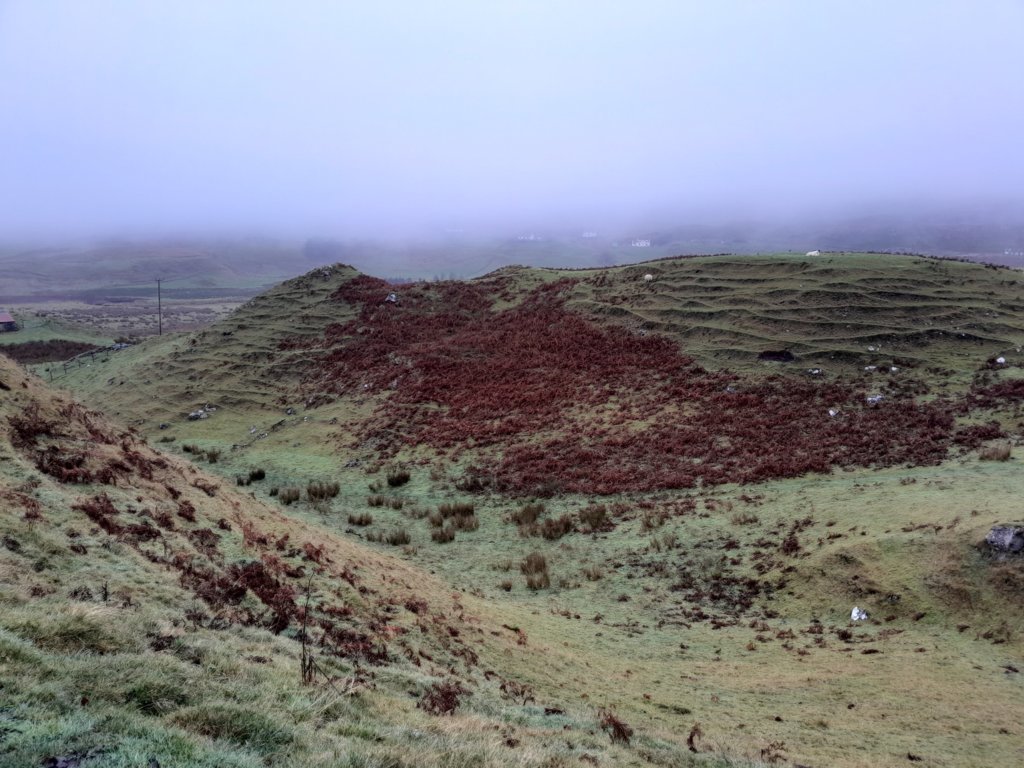 20241114_142414.jpg
