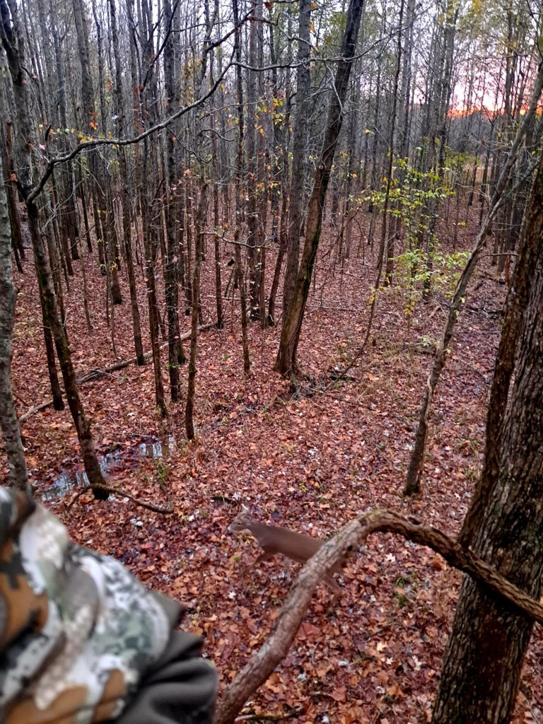 20241114_164738.jpg
