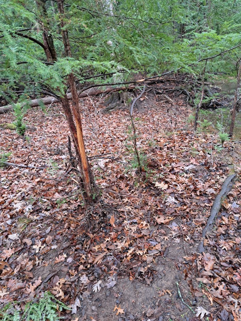 20241115_092151.jpg