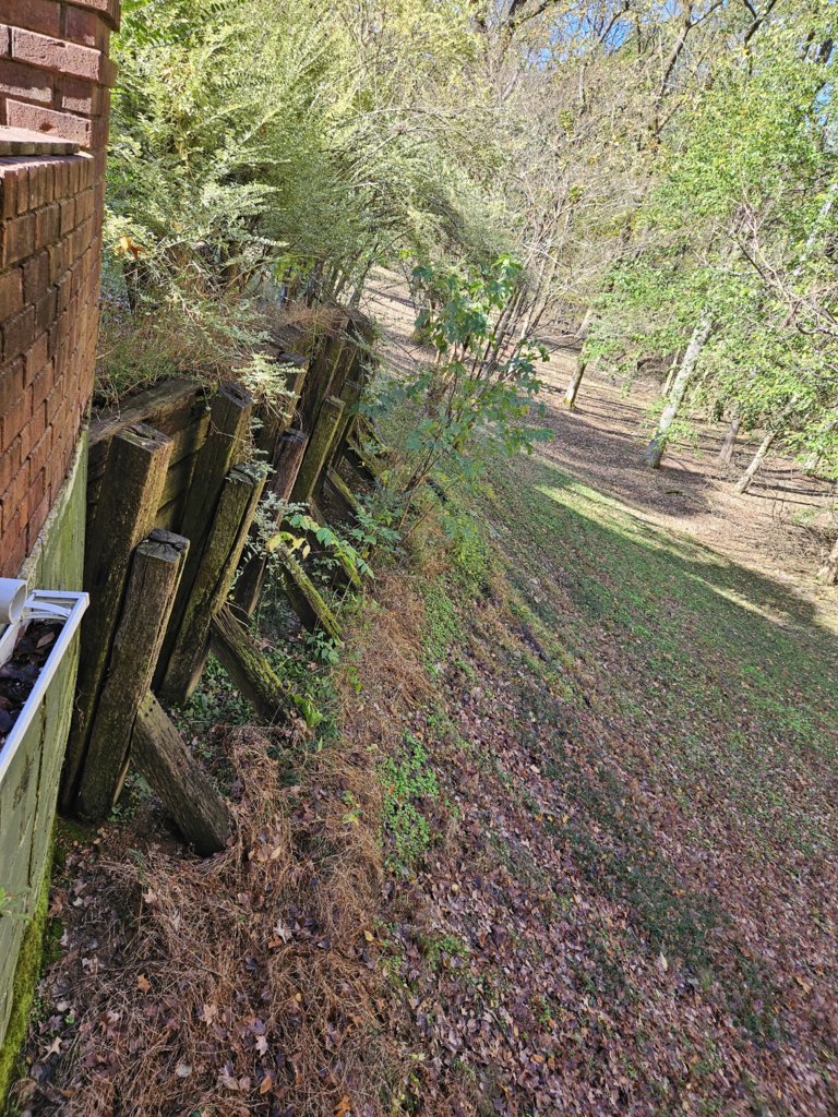 20241115_093712.jpg